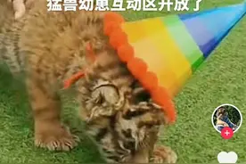 人与动物能“零距离”接触吗？ 同济大学副教授郭光普：和谐相处是美好的状态，但要把握好“距离”图片