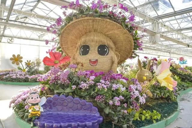 家庭园艺嘉年华｜北京兰花文化嘉年华将于明日启幕