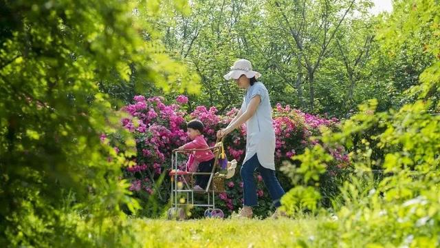 只用两个字，来形容你眼中的洛阳