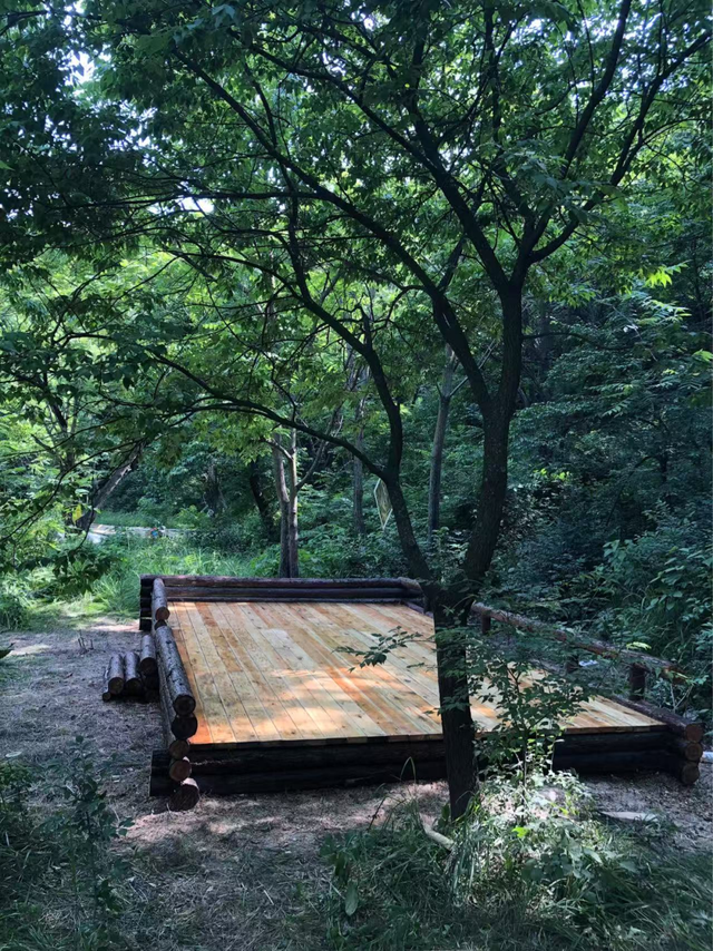 总长近150公里！延庆将建成两条森林步道——