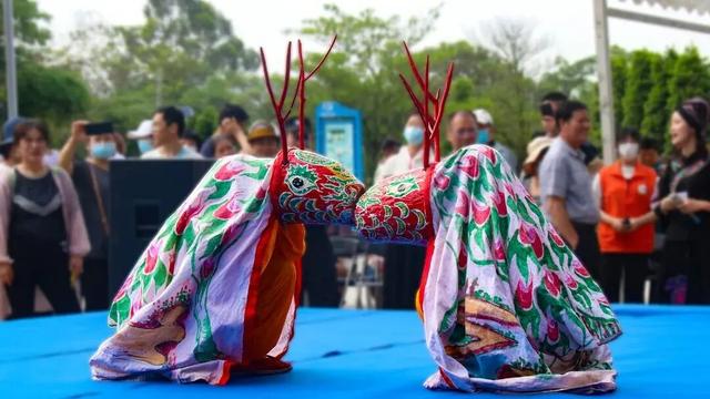 天生多彩丨跑盟马，解锁防城港的多巴胺 “人设”