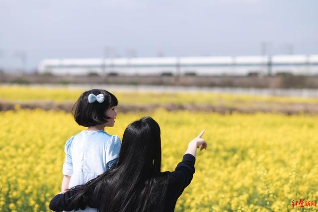 崇州30万亩油菜花盛放，坐城际动车即可前往，打卡攻略新鲜出炉！