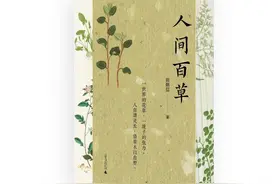 申公豹“代购药单”火了，读懂古人藏在药草中的智慧图片
