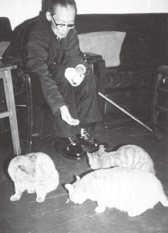 夏衍诞辰125周年｜专访沈芸：我爷爷终身都有地下党情结，他不喜欢讲苦难