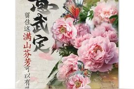 写意武定！留住这满山芬芳可以有很多种方式图片
