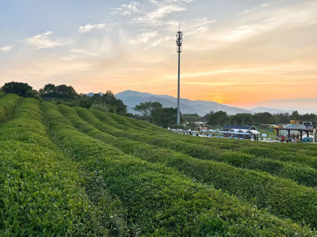 余杭“秋日恋歌”打卡地图出炉！