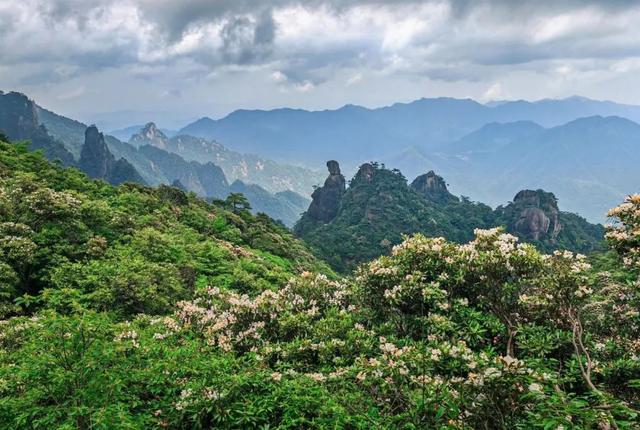 赣超赛场，绝秀争锋！鹰潭主场邀上饶球迷同游龙虎山！