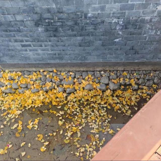 曲沃的冬天不可辜负