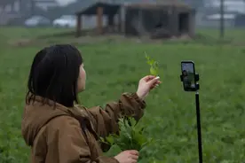 网络主播正式成为新职业，如何健康发展？图片
