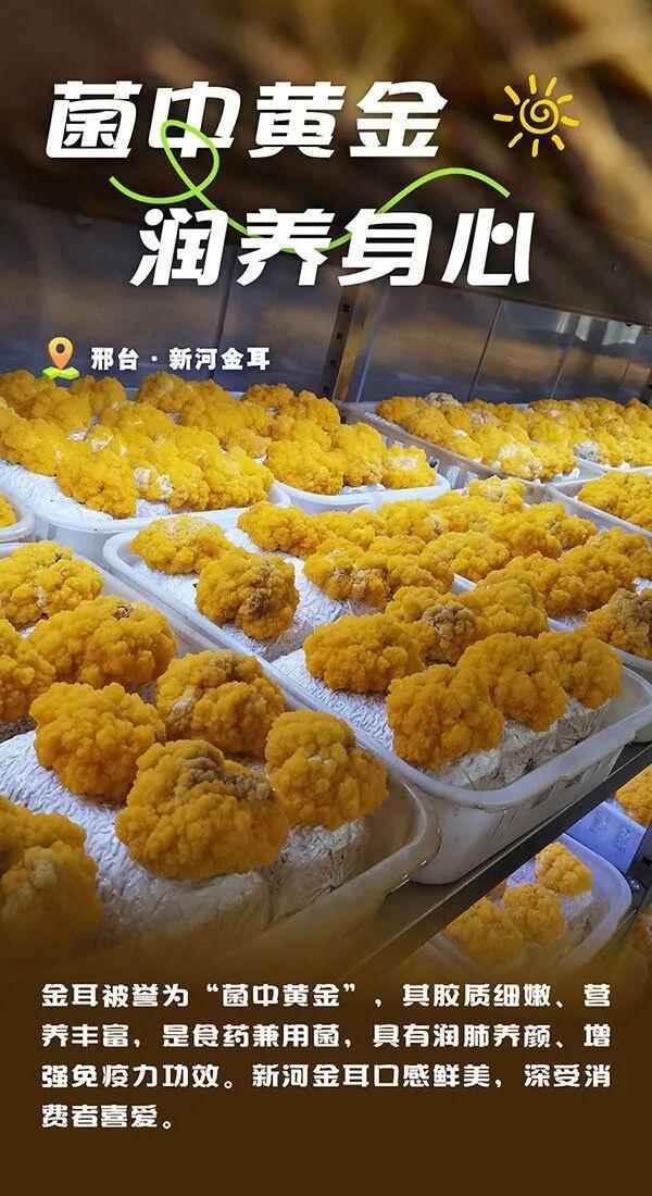 被邢台圈粉了！每一口都是自然的馈赠