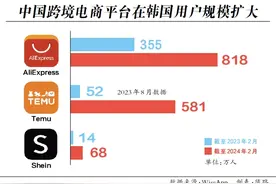 韩国“海淘新规”草草收场，中国跨境电商还有新挑战？图片