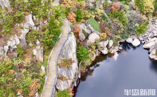 十余只鸳鸯“做客”崂山龙潭水库 深秋生态画卷添灵动生机