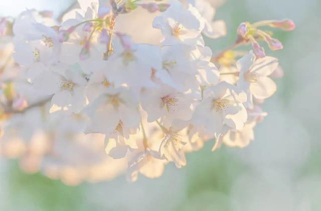 四时天工 扬州如画