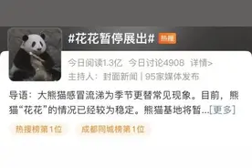 熊猫届顶流“花花”感冒了，暂停营业！图片