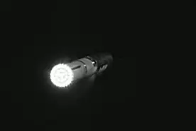 SpaceX星舰在与助推器分离后继续飞行图片
