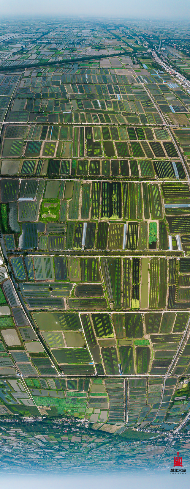 北北亲测！仙桃够味！福利加倍！