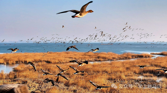 这个冬天，总要来一趟驻马店吧！