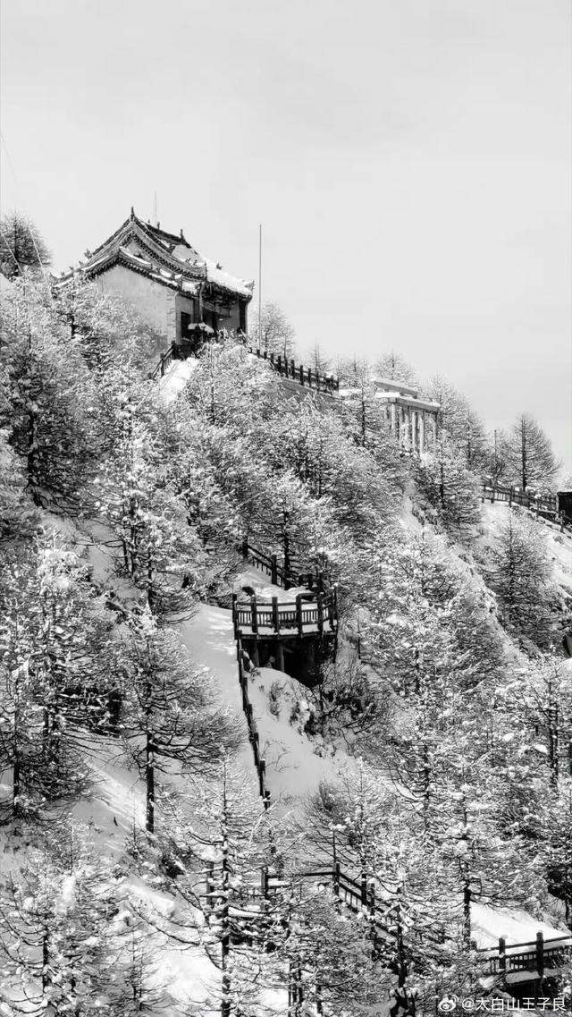 雪中太白山
