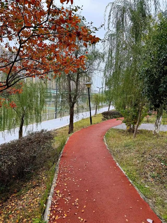 冬｜把时光染成斑斓诗行～