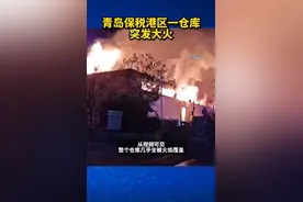 青岛保税港区一仓库发生火灾 当地应急管理局：已扑灭，无人员伤亡图片