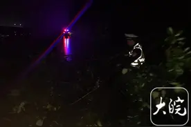 济广高速路上树木倾倒占道 六安巡逻民警冒雨挪树除隐患图片