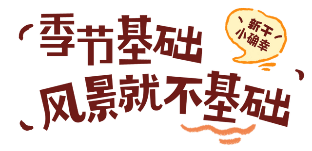 新干的秋天，一点也“不基础”！