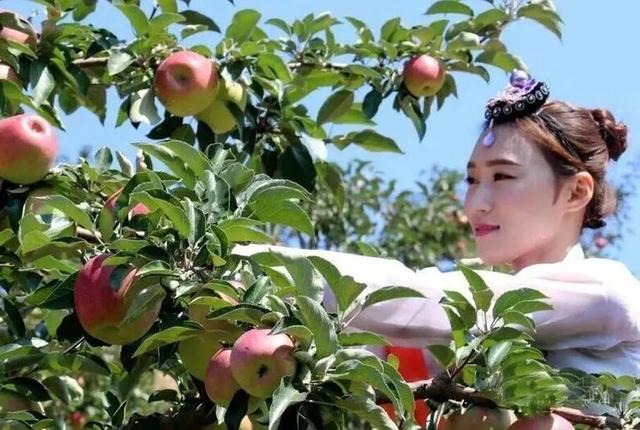 不来珲春，怎知秋色如许？（惊艳美图来袭）