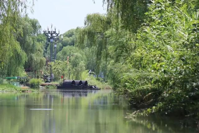 太好了！洛阳这场“补水喷雾”终于要停了！