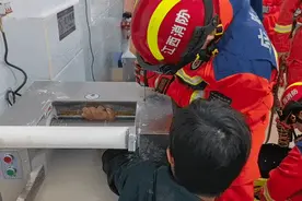 这得有多痛啊！男子手臂卷进压面机痛苦呻吟……图片