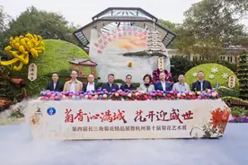 丝丝入心，幽香满怀——杭城一年一度菊花展再度来袭图片