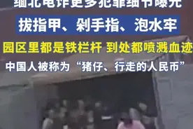 缅北电诈更多犯罪细节曝光，拔指甲、剁手指、泡水牢，园区里都是铁栏杆图片