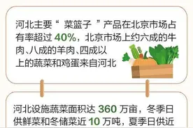 十年·突破 | 异地再开张，北京农批市场转战高碑店图片