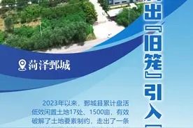 整合低效闲置土地1500亩，山东这个县腾出“旧笼”引入“俊鸟”图片