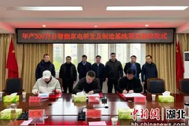 湖北嘉鱼：新质跃动南嘉地 千帆竞发势如虹图片