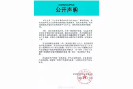 存在自燃隐患，知名品牌罗马仕召回49万台充电宝图片