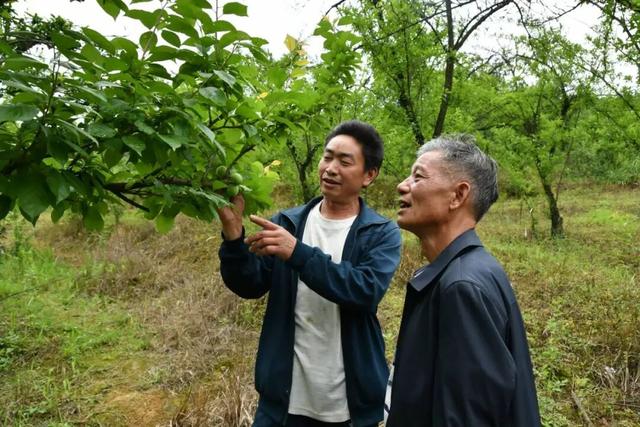 赤水河95公里的足迹滋养了昭通沿线152个村（社区）104.2万人