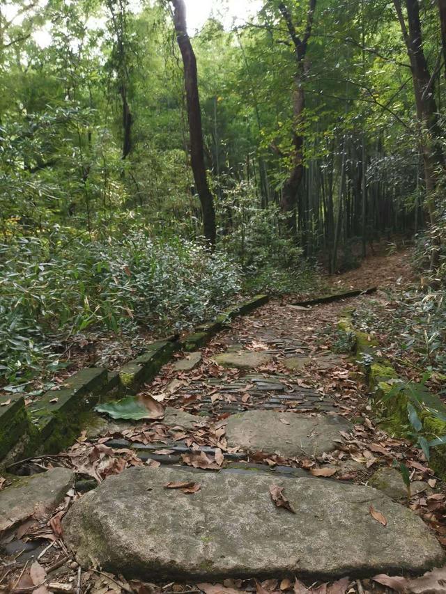 晚潮｜探秘湖州南宋古道：穿越千年与历史对话