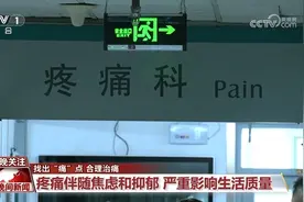 身体疼痛莫大意 如何找出“痛”点、合理就医？一文了解图片