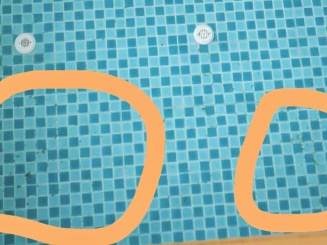 山东淄博一女浴池内有疑似粪便异物？涉事店家及卫生部门回应