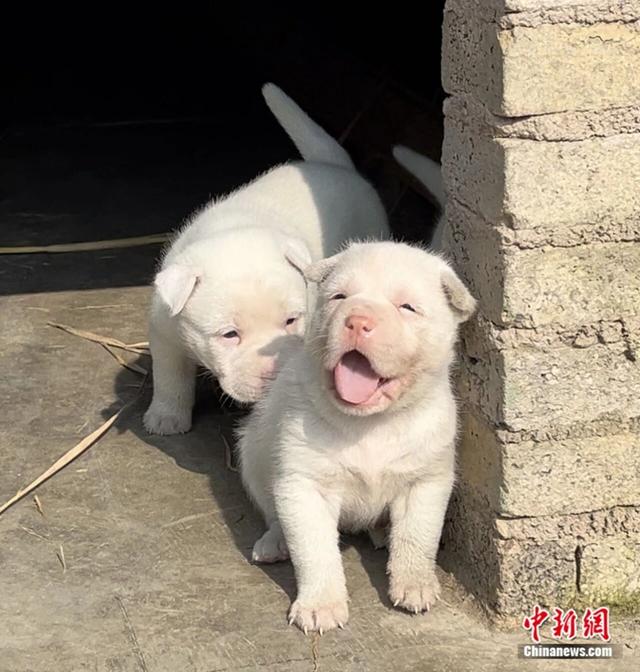 人这一辈子，一定要去一趟凯里！