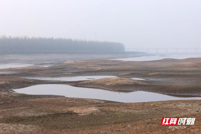 大美红图丨湘江枯水河床成市民活动“新场所”
