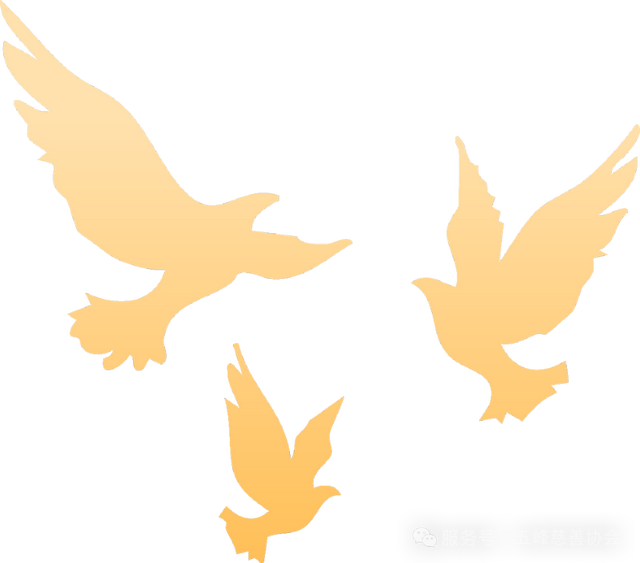 AI小课堂丨中华慈善日，青岛在行动！“爱满山海”十大公益慈善项目发布