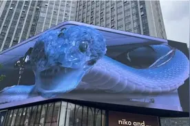 南方网评：闹市3D巨蛇太逼真？惊艳不能变惊吓图片