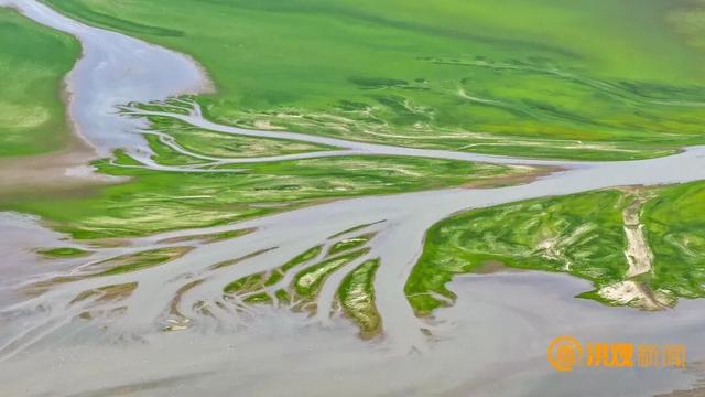 太美了！鄱阳湖现“大地之树”自然奇观