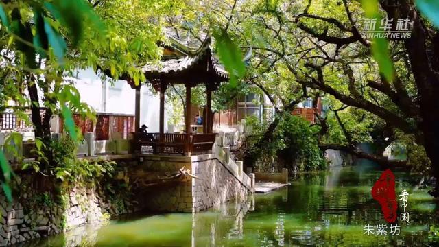 千城百县看中国丨福建福州：绿染榕城画中行