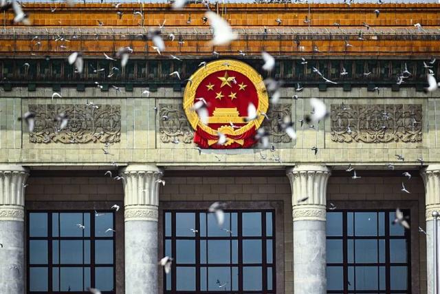 8万只和平鸽都已回家，鸽友40只鸽子参与阅兵：最快20分钟回家，回归率100%
