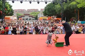 全国南戏展演持续火爆！提线木偶与机器狗同台演出图片