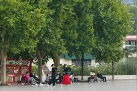 “银发一族”撬动文旅市场图片