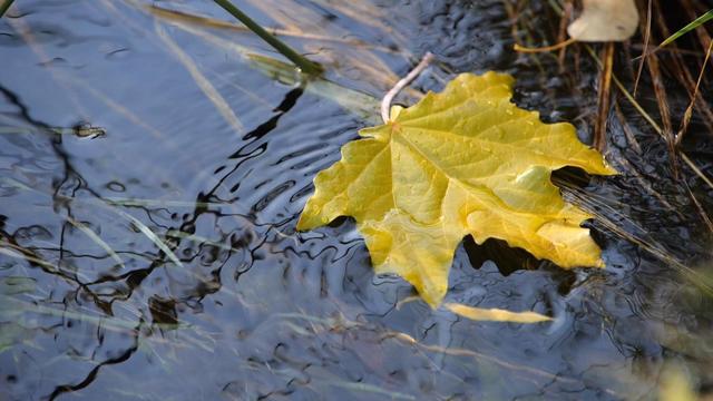 【省媒看永昌】新甘肃 |一眼沦陷 永昌的秋天美到挪不开眼