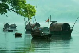 影像定格风光美 摄影“大咖”“打卡”丽水山水图片